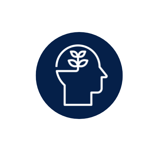 Competencies Icon