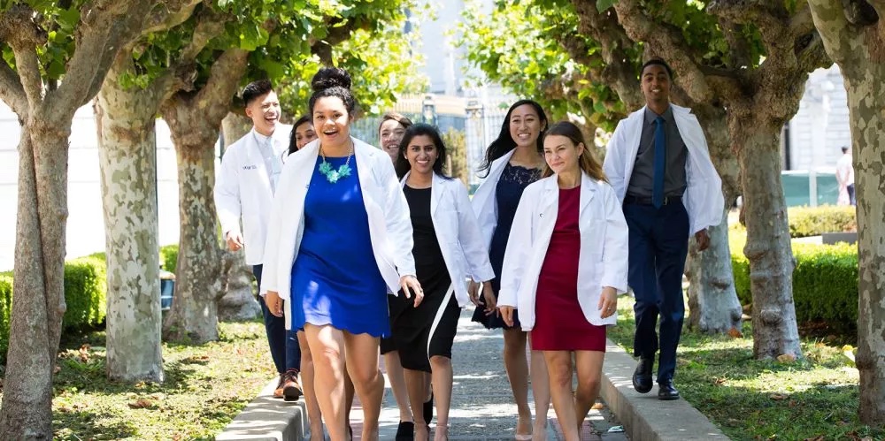 Students walk through the verdant trees of Koret Quad