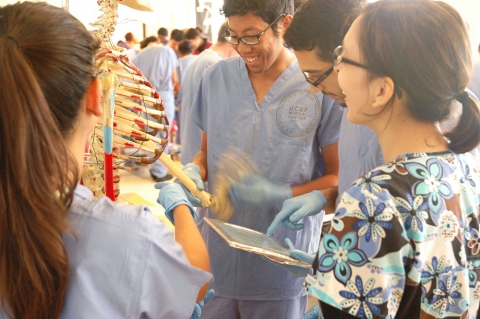 anatomy learning center