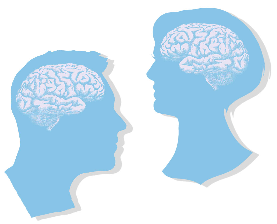 the inner brain