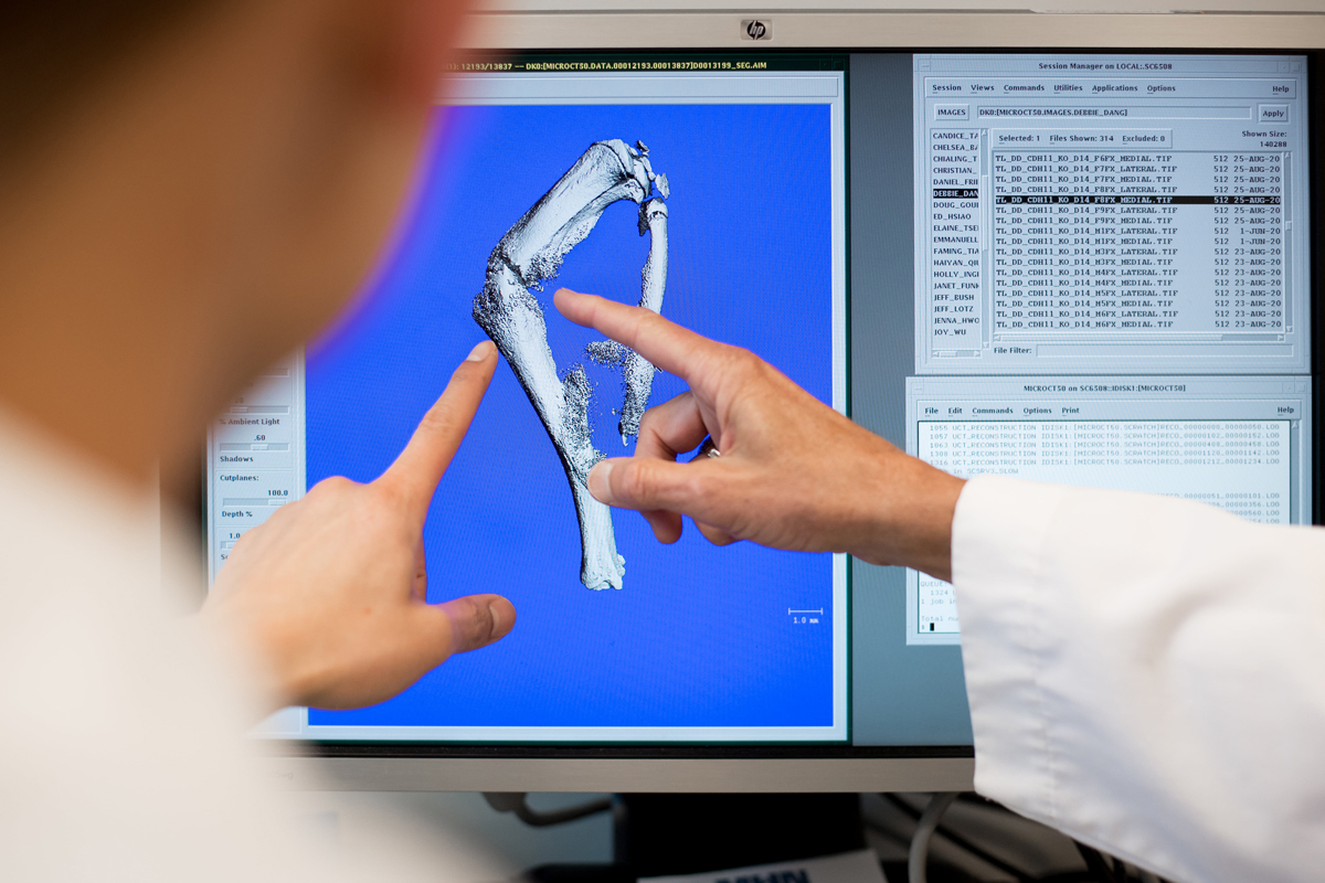 xray